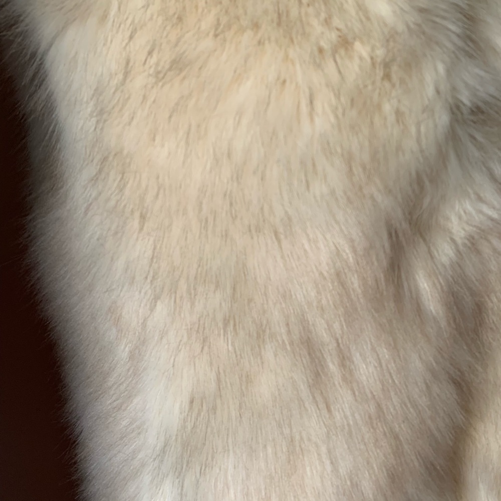 Vest - Picture 3 of 5